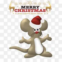 ʥ������ ������� ��ͨ-������