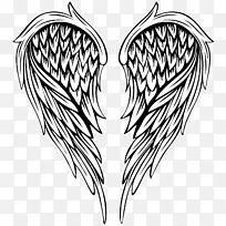 绘画插图.画羽毛天使翅膀-空若网 绘画插图.画羽毛天使翅膀-空若网