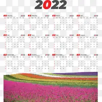 日历系统-空若网 日历系统-空若网