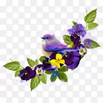 鸟玉瓦拉基亚.阿兹-拉凡达-空若网 鸟玉瓦拉基亚.阿兹-拉凡达-空若网