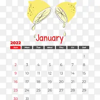 ���� ���� ��ɫ-������