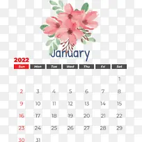 花卉 花卉设计 切花-空若网 花卉 花卉设计 切花-空若网