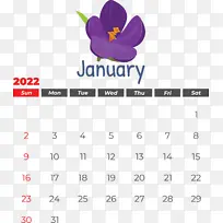 ���� �� ��-������