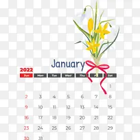 �� ���� ��ɫ-������