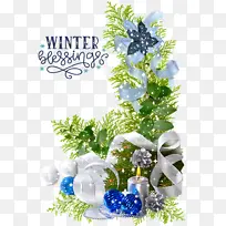 ʥ���� �ʺ� ����-������