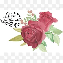 Ë®²Ê» »æ» »¨»Ü-¿ÕÈôÍø Ë®²Ê» »æ» »¨»Ü-¿ÕÈôÍø