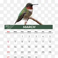 ���� ��Ƶ ����-������