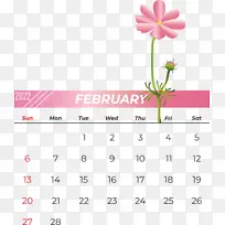 ���� �� ��-������