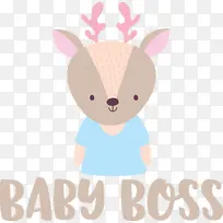 填充玩具 科学 生物-空若网 填充玩具 科学 生物-空若网