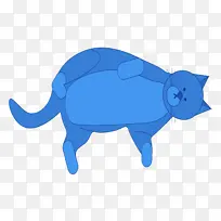 猫 鼻子 小-空若网 猫 鼻子 小-空若网