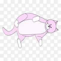 猫 小 鼻子-空若网 猫 小 鼻子-空若网