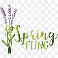 薰衣草 替代药物 草药-空若网 薰衣草 替代药物 草药-空若网