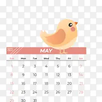 ���� � ����-������