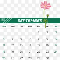 ���� ���� ��ɫ-������