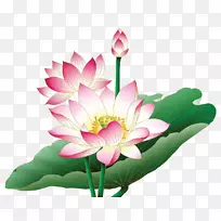 埃及荷花插花艺术-花PNG-空若网 埃及荷花插花艺术-花PNG-空若网