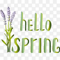 �� ޹�²� �滭-������