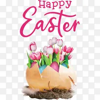 �ɿ������� ֽ������ ����-������