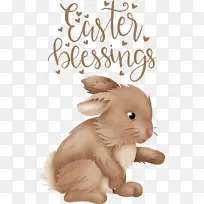 胡须 鼻子 兔子-空若网 胡须 鼻子 兔子-空若网