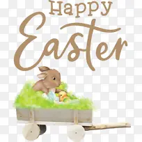 ��ֽ �Ǳ� ��ѧ-������