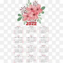 �� ���� ����-������