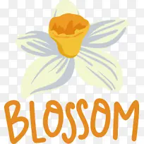 花 昆虫 传粉者-空若网 花 昆虫 传粉者-空若网