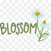 植物茎 绘画 水彩画-空若网 植物茎 绘画 水彩画-空若网