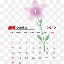 花 日历 花瓣-空若网 花 日历 花瓣-空若网