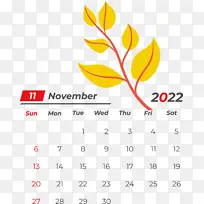 ���� ���� ��ɫ-������