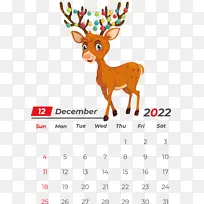 ѱ¹ ¹ ʥ����-������