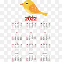 ���� �� �-������