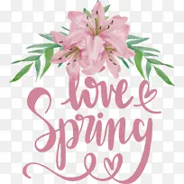 »¨»Ü Ë®²Ê» °ÙºÏ»¨-¿ÕÈôÍø »¨»Ü Ë®²Ê» °ÙºÏ»¨-¿ÕÈôÍø