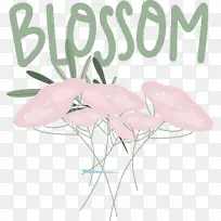 �� ���� ����-������