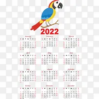 日历 线 喙-空若网 日历 线 喙-空若网