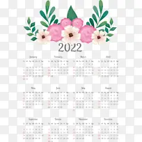 ���� ���� ֲ��-������