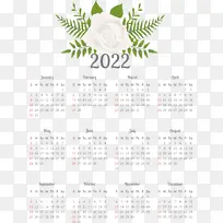 ���� ��������-������