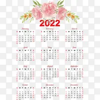 ���� �Ǳ� ֲ��-������