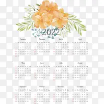 ���� ���� ֲ��-������