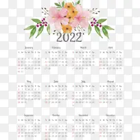 ���� ���� ֲ��-������