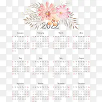 ���� ���� ֲ��-������