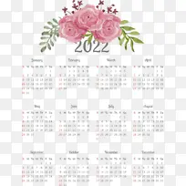 ���� ���� ֲ��-������