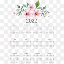 �� ���� ����-������