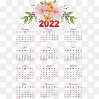 ���� �Ǳ� ֲ��-������