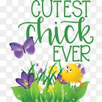 花卉设计 昆虫 传粉者-空若网 花卉设计 昆虫 传粉者-空若网