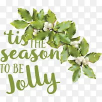 叶 树枝 树-空若网 叶 树枝 树-空若网