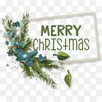 生日-空若网 生日-空若网