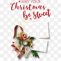 Ê¥µ®½Ú ͸Ã÷Ê¥µ®½Ú ×°ÊÎÆ·-¿ÕÈôÍø Ê¥µ®½Ú ͸Ã÷Ê¥µ®½Ú ×°ÊÎÆ·-¿ÕÈôÍø