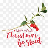 ��ȻʳƷ ����ʳƷ ����-������