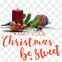 װ��Ʒ ʥ���� ��-������