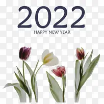 ÐÂÄê »æ» Ê¥µ®½Ú-¿ÕÈôÍø ÐÂÄê »æ» Ê¥µ®½Ú-¿ÕÈôÍø