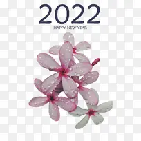 ������� ���տ��� �ʻ�����-������